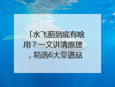 水飞蓟到底有啥用？一文讲清原理，精选6大靠谱品牌助你科学养生