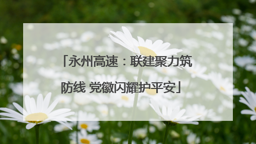 永州高速：联建聚力筑防线 党徽闪耀护平安