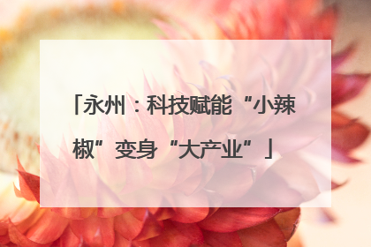 永州：科技赋能“小辣椒”变身“大产业”