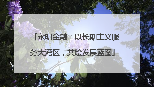 永明金融：以长期主义服务大湾区，共绘发展蓝图