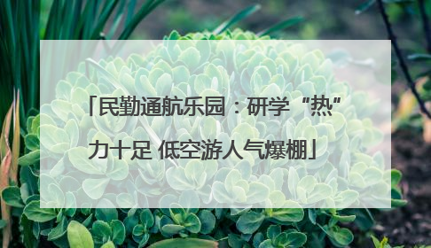 民勤通航乐园：研学“热”力十足 低空游人气爆棚