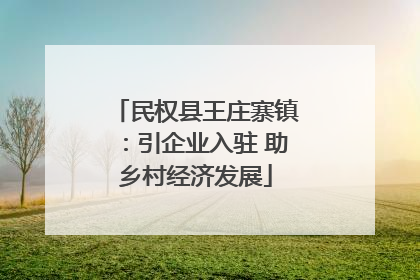民权县王庄寨镇：引企业入驻 助乡村经济发展