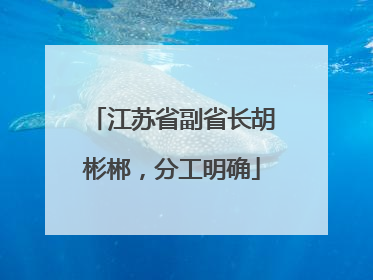 江苏省副省长胡彬郴，分工明确