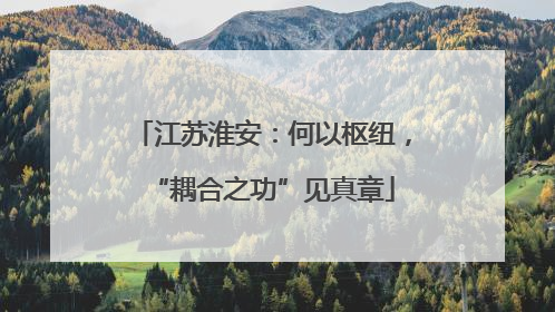 江苏淮安：何以枢纽，“耦合之功”见真章