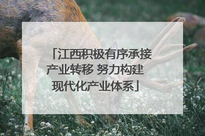 江西积极有序承接产业转移 努力构建现代化产业体系