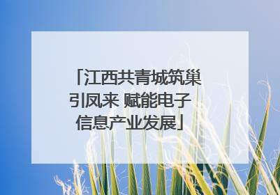江西共青城筑巢引凤来 赋能电子信息产业发展