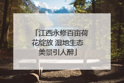 江西永修百亩荷花绽放 湿地生态美景引人醉