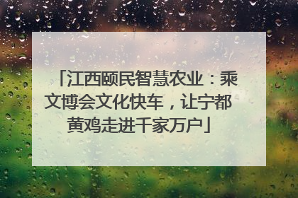 江西颐民智慧农业：乘文博会文化快车，让宁都黄鸡走进千家万户
