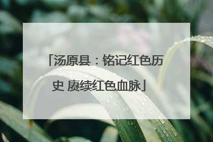 汤原县：铭记红色历史 赓续红色血脉
