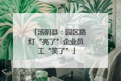 汤阴县：园区路灯“亮了”企业员工“笑了”