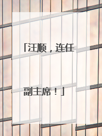 汪顺，连任副主席！