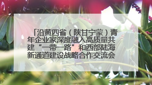 沿黄四省（陕甘宁蒙）青年企业家深度融入高质量共建“一带一路”和西部陆海新通道建设战略合作交流会在甘肃兰州召开