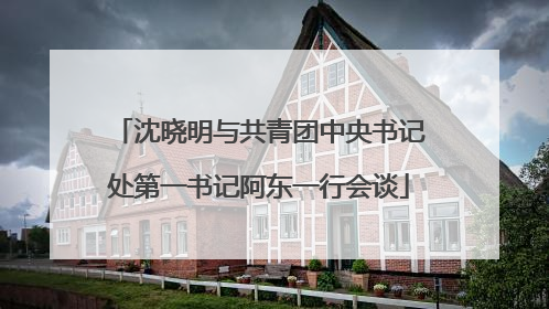 沈晓明与共青团中央书记处第一书记阿东一行会谈