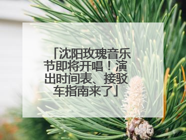沈阳玫瑰音乐节即将开唱！演出时间表、接驳车指南来了