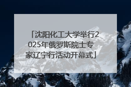 沈阳化工大学举行2025年俄罗斯院士专家辽宁行活动开幕式