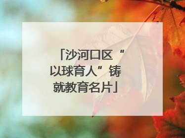 沙河口区“以球育人”铸就教育名片