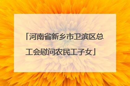 河南省新乡市卫滨区总工会慰问农民工子女
