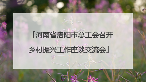 河南省洛阳市总工会召开乡村振兴工作座谈交流会