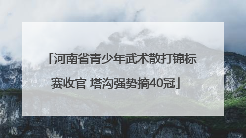 河南省青少年武术散打锦标赛收官 塔沟强势摘40冠