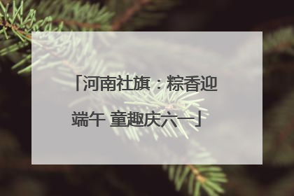 河南社旗：粽香迎端午 童趣庆六一
