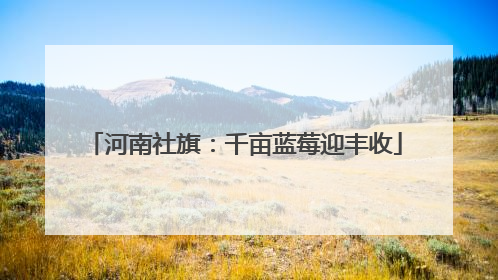 河南社旗：千亩蓝莓迎丰收
