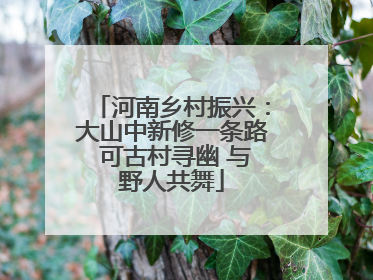 河南乡村振兴：大山中新修一条路 可古村寻幽 与野人共舞