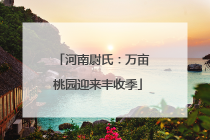 河南尉氏：万亩桃园迎来丰收季