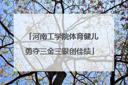 河南工学院体育健儿勇夺三金三银创佳绩