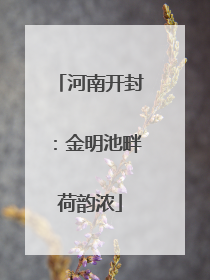 河南开封：金明池畔荷韵浓