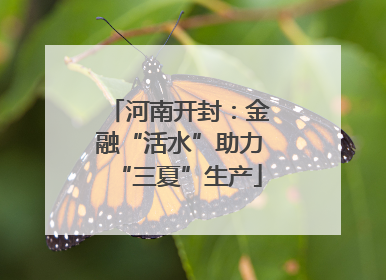河南开封：金融“活水”助力“三夏”生产