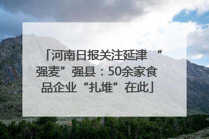 河南日报关注延津 “强麦”强县：50余家食品企业“扎堆”在此