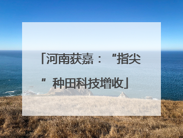 河南获嘉：“指尖”种田科技增收