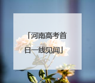 河南高考首日一线见闻