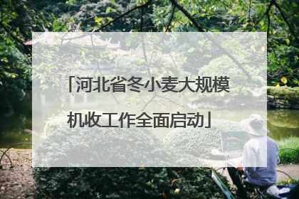 河北省冬小麦大规模机收工作全面启动
