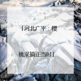 河北广平：樱桃采摘正当时
