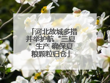 河北故城多措并举护航“三夏”生产 确保夏粮颗粒归仓