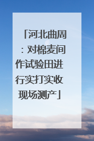 河北曲周：对棉麦间作试验田进行实打实收现场测产