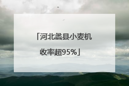 河北蠡县小麦机收率超95%