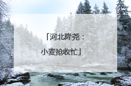河北隆尧：小麦抢收忙