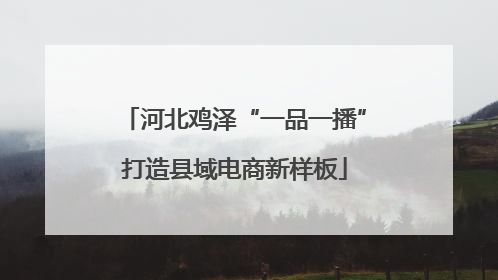 河北鸡泽“一品一播”打造县域电商新样板