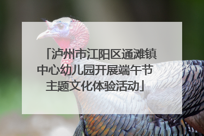 泸州市江阳区通滩镇中心幼儿园开展端午节主题文化体验活动