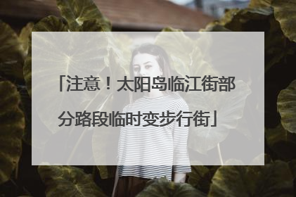注意！太阳岛临江街部分路段临时变步行街