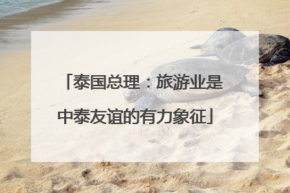 泰国总理：旅游业是中泰友谊的有力象征
