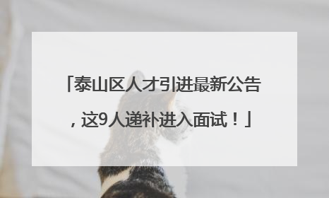 泰山区人才引进最新公告，这9人递补进入面试！