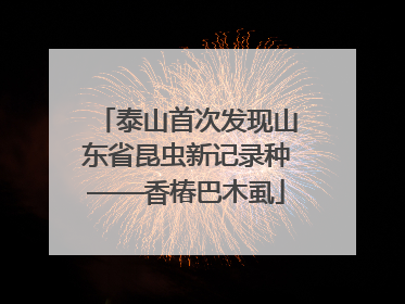 泰山首次发现山东省昆虫新记录种——香椿巴木虱