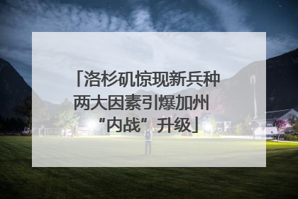 洛杉矶惊现新兵种 两大因素引爆加州“内战”升级