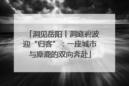 洞见岳阳丨洞庭碧波迎“归客”：一座城市与麋鹿的双向奔赴