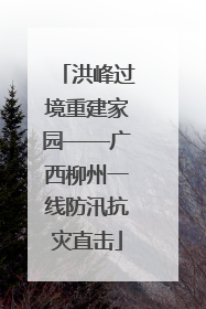 洪峰过境重建家园——广西柳州一线防汛抗灾直击