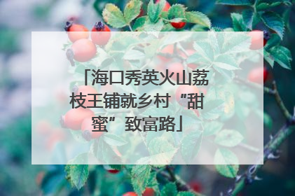 海口秀英火山荔枝王铺就乡村“甜蜜”致富路
