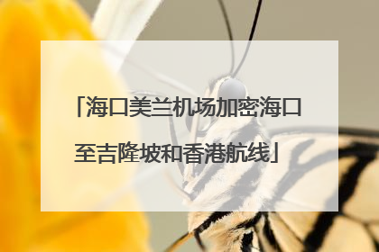 海口美兰机场加密海口至吉隆坡和香港航线